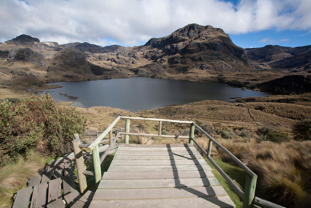 Cuenca - Reserva del Cajas - Laguna Toreadora