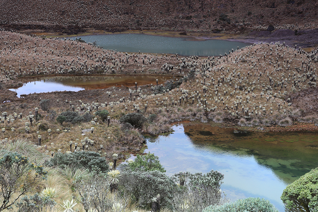 Carchi - Chilma Bajo