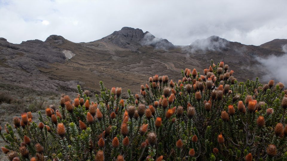 Bolívar - Paisaje