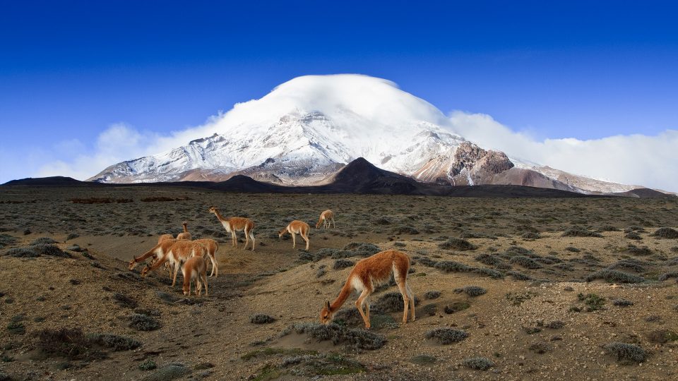 Chimborazo - Paisaje