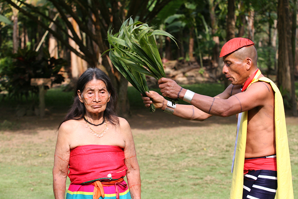 Cultura y tradiciones - Santo Domingo de los Tsáchilas