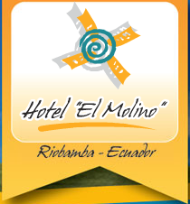 logo molino