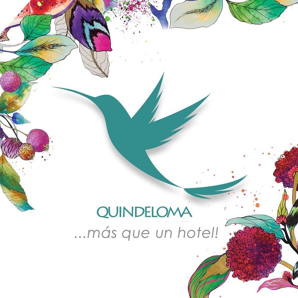 Logo de Quindeloma