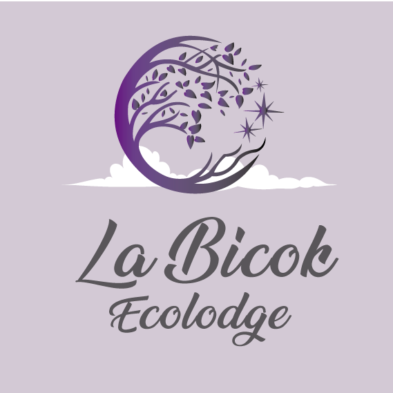 Logo de La Bicok