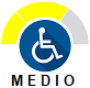 Logo de Accesibilidad Medio